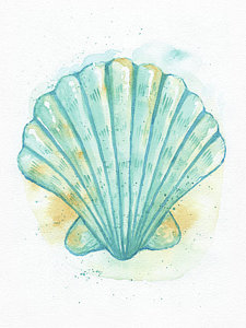 225x300 Sea Scallops Paintings - Scallops Painting