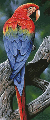 209x500 Scarlet Macaw Painting Cross Stitch Pattern Birds - Scarlet Macaw Painting