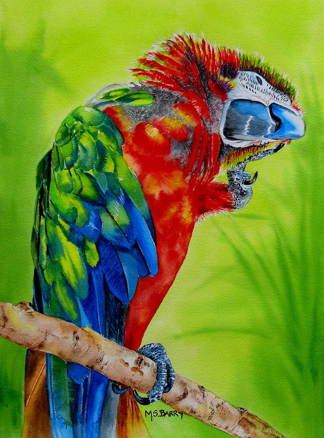 666x900 Scarlet Macaw Painting By Maria Barry - Scarlet Macaw Painting