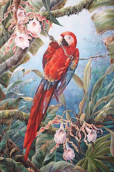 366x554 Scarlet Macaw Hanging From A Vine - Scarlet Macaw Painting