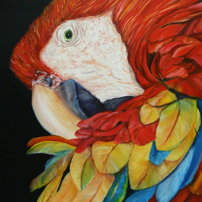 650x650 Stunning Scarlet Macaw Painting Reproductions For Sale On Fine - Scarlet Macaw Painting