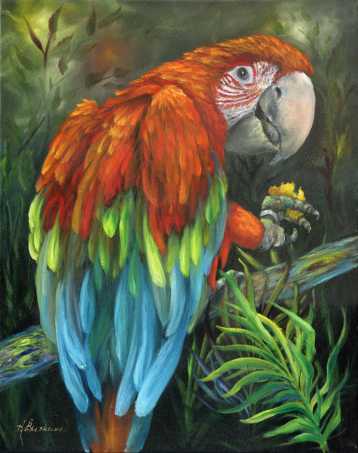 Scarlet Macaw Painting at PaintingValley.com | Explore collection of ...