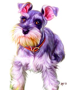 236x300 Schnauzer Paintings - Schnauzer Painting