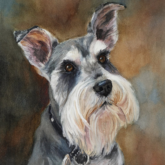 570x570 Schnauzer Printschnauzer Paintingschnauzer Artschnauzer - Schnauzer Painting