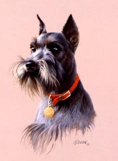 236x321 That's My Dog Schnauzer Painting By Jim Killen - Schnauzer Painting