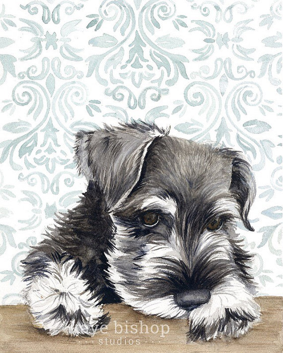 570x712 Mini Schnauzer Watercolor Painting, Animal Art, Schnauzer Painting - Schnauzer Painting