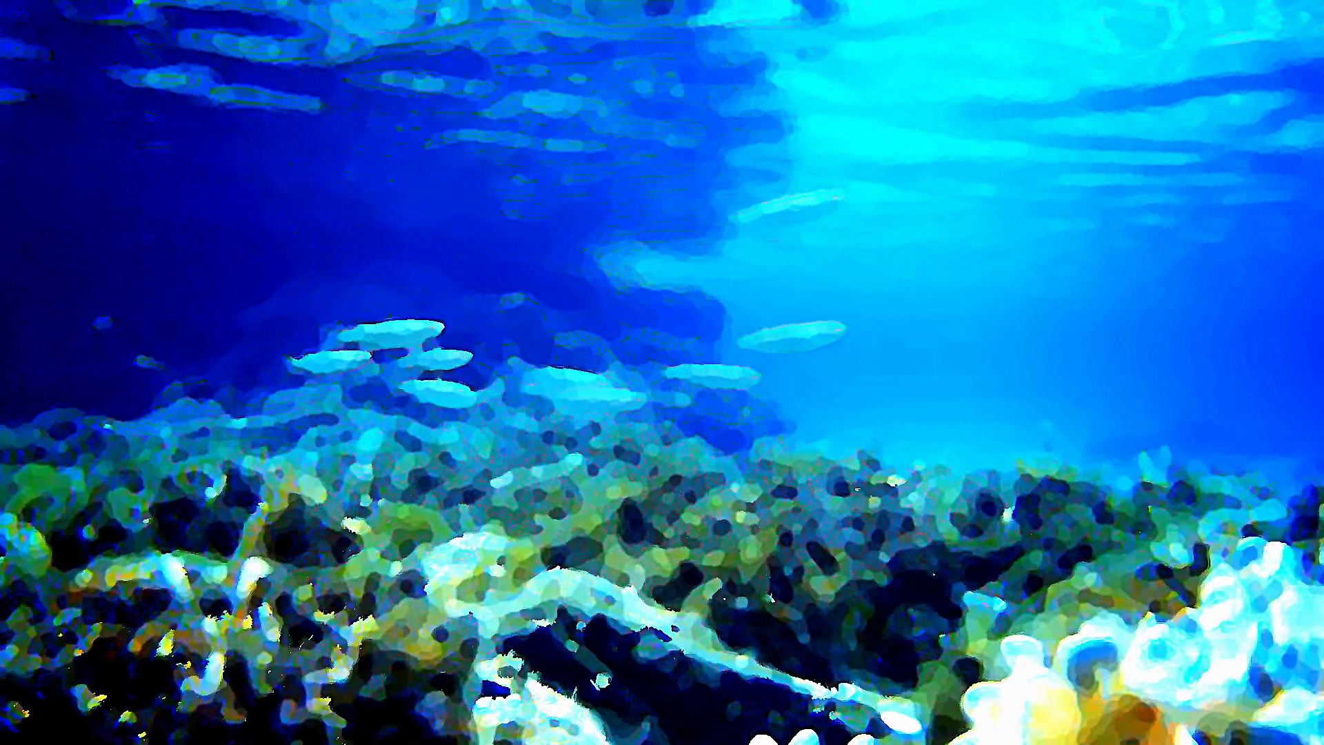 1920x1080 School Of Fish Over Coral Reef Oil Painting Motion Background - School Of Fish Painting