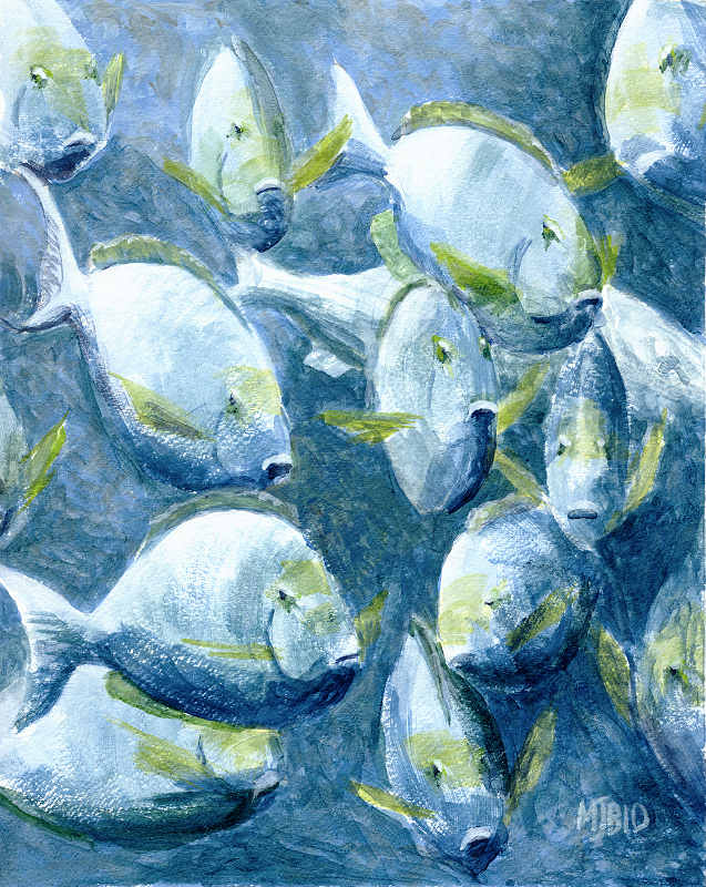 637x800 Wde July 24 School Of Fish (Or Fishes) - School Of Fish Painting