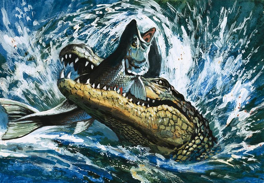 900x626 Alligator Eating Fish Painting By English School - School Of Fish Painting