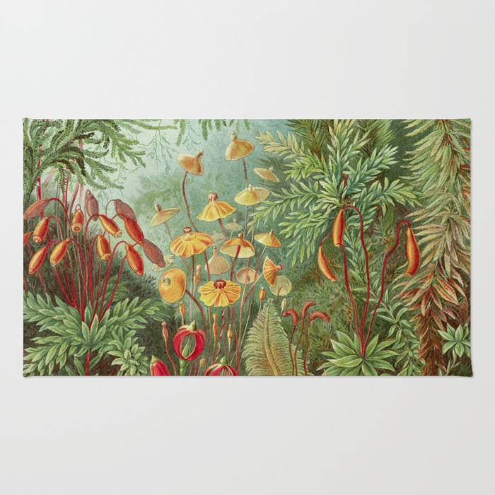 700x700 Scientific Illustration Of Moss In The Forest - Scientific Painting