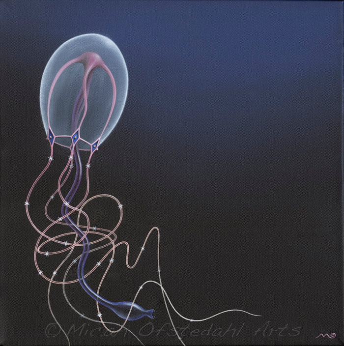 700x704 Surreal Biology Jellyfish Art. Fine Art Print Of Scientific - Scientific Painting