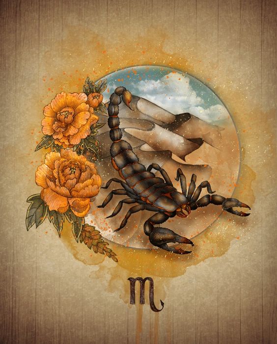 564x701 The Scorpio Rising Personality - Scorpio Painting