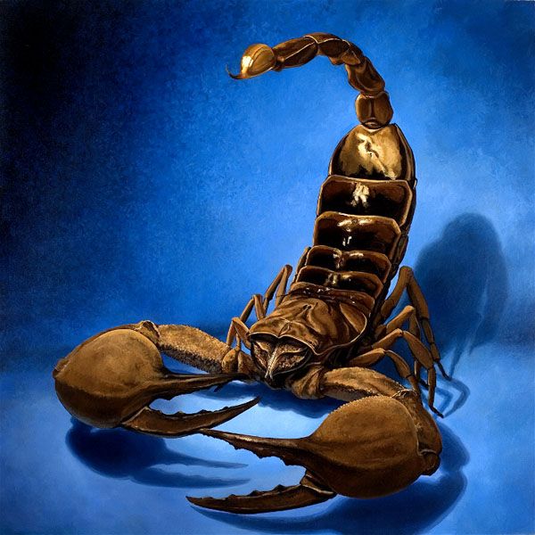 600x600 Scorpion Arachnid Oil Painting By Jessa Huebing Reitinger Others - Scorpion Painting