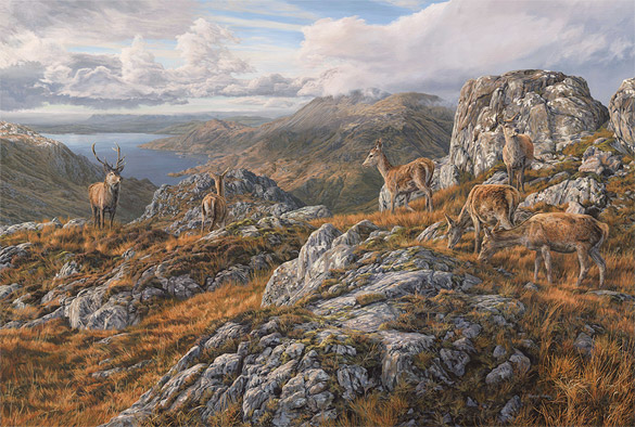 585x394 Wildlife Paintings For Sale - Scottish Highlands Painting