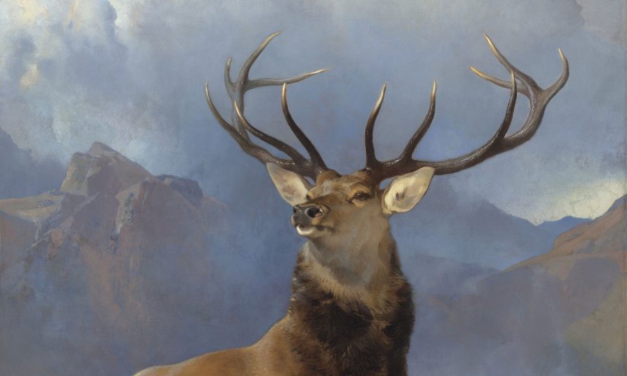 900x540 Iconic Monarch Of The Glen Painting To Tour Scottish Art Galleries - Scottish Painting