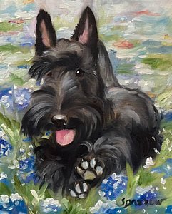 241x300 Scottish Terrier Paintings Fine Art America - Scottish Terrier Painting