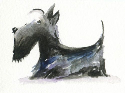 500x373 The 211 Best Dogs Images On Scottie Dogs, Scottish - Scottish Terrier Painting