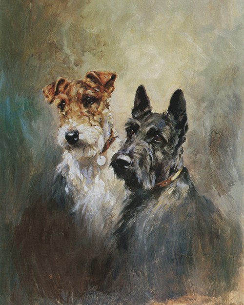 500x625 Art Prints Of A Scottish Terrier Amp A Wire Hair Fox Terrier By - Scottish Terrier Painting