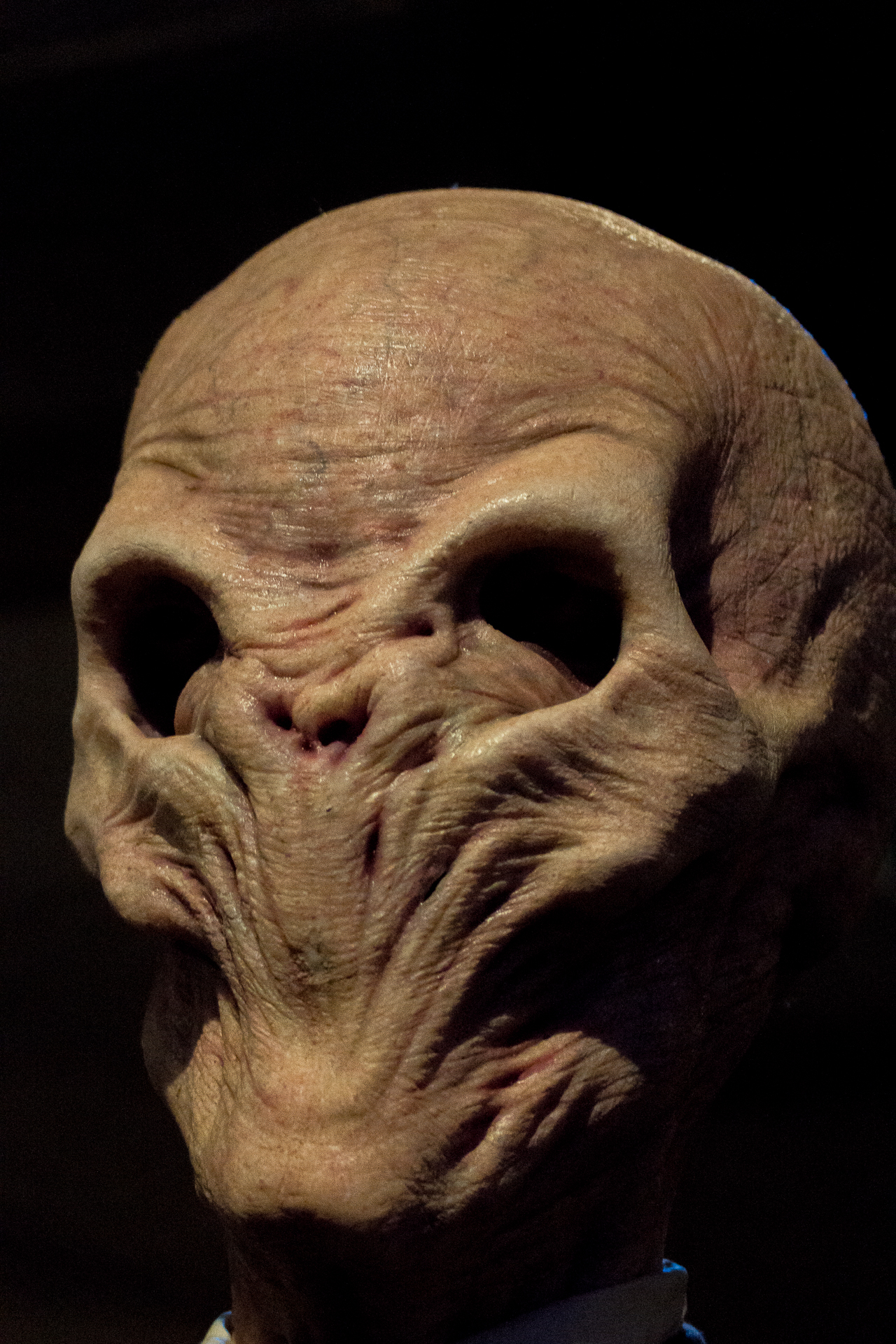 1280x1920 The Scream - Screaming Lady Painting