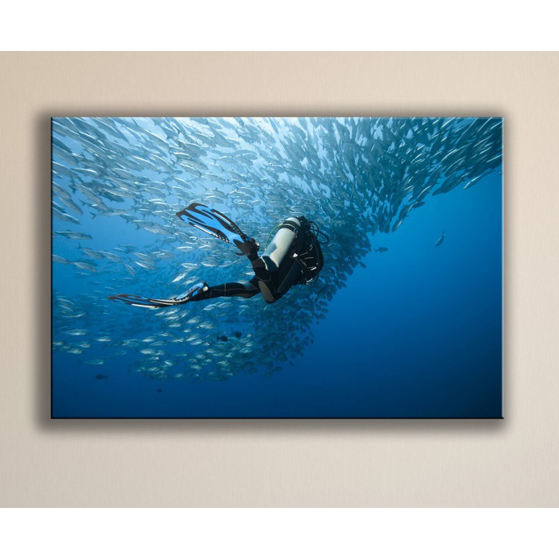 800x800 Scuba Diving Painting, Cheap Travel Painting - Scuba Diver Painting