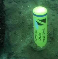 237x240 Travel And Dive Photos - Scuba Tank Painting