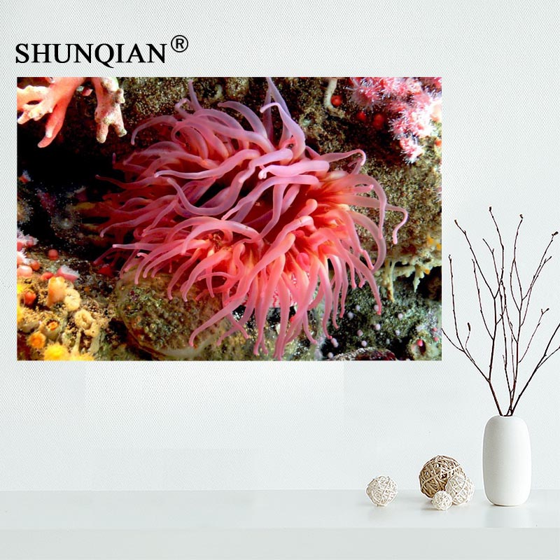 800x800 Buy New Sea Anemone Canvas Cloth Poster For Home - Sea Anemone Painting