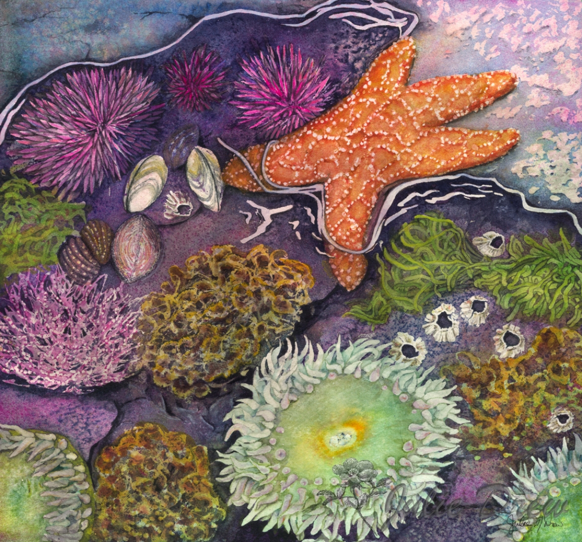 Sea Anemone Painting at PaintingValley.com | Explore collection of Sea ...