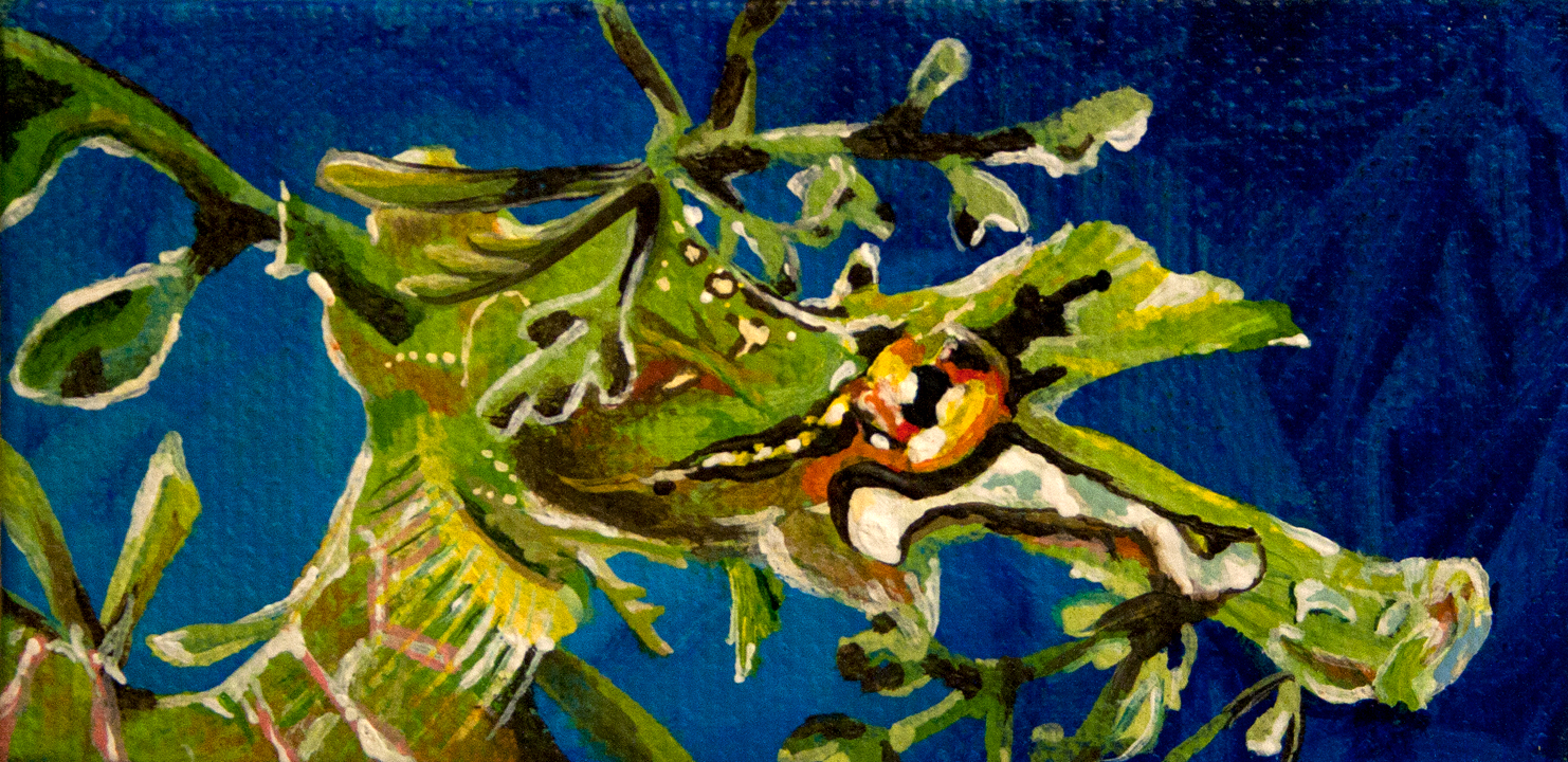 1482x720 Melissa Adams Art Miniature Sea Dragon - Sea Dragon Painting