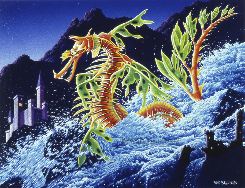 1000x767 Sea Dragon, Oil Painting Waltsturrock - Sea Dragon Painting