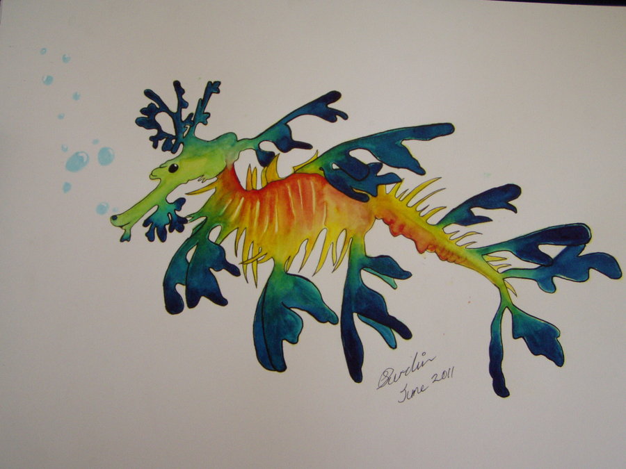 900x675 Watercolour Leafy Sea Dragon By Jade Phoenyxx - Sea Dragon Painting