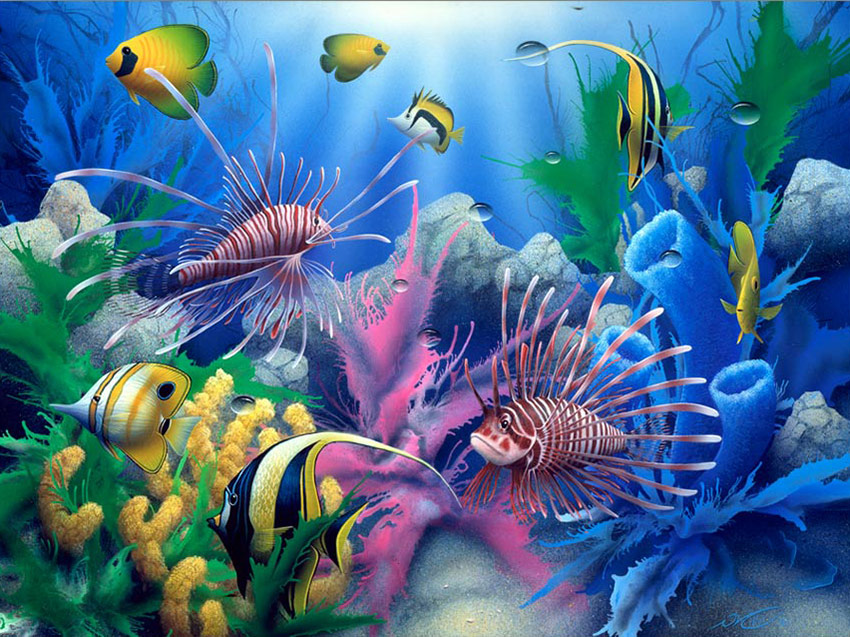 850x637 Fish Painting Lions Of The Sea - Sea Fish Painting