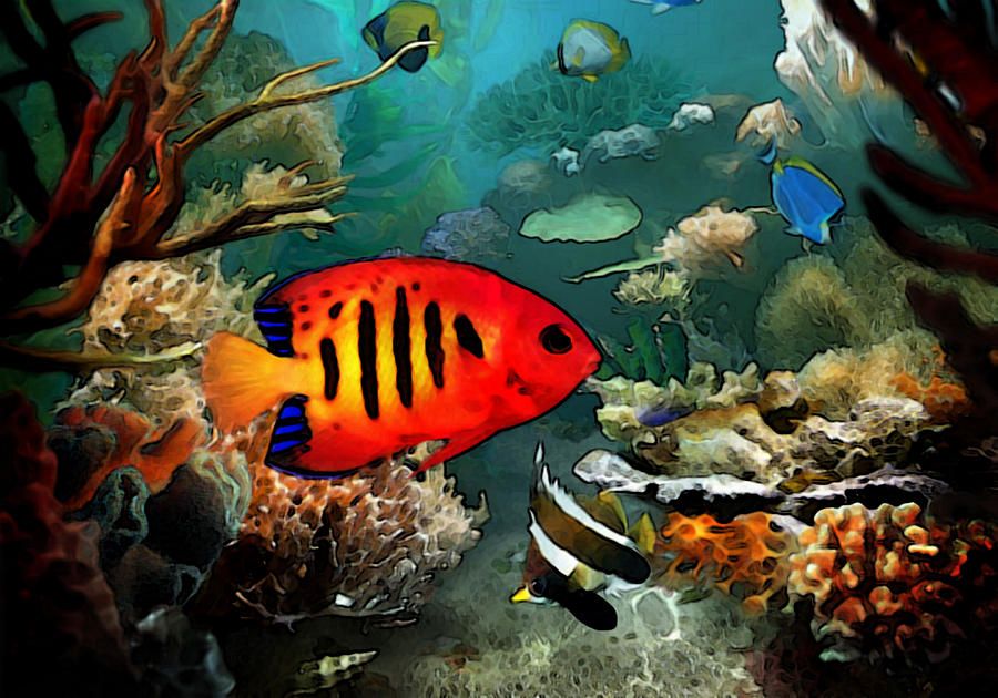 900x630 Underwater Sea Life Paintings Pictures To Pin - Sea Life Painting