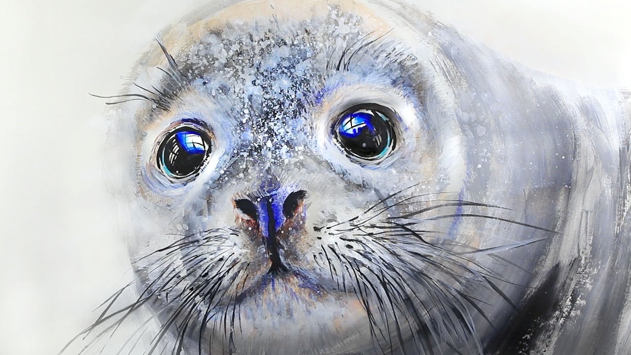 1280x720 Sea Lion (Painting) - Sea Lion Painting