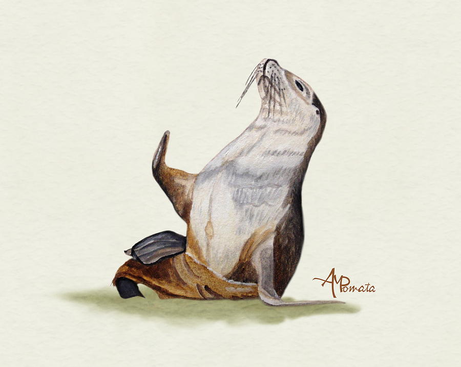 900x717 Sea Lion Watercolor Ii Painting By Angeles M Pomata - Sea Lion Painting