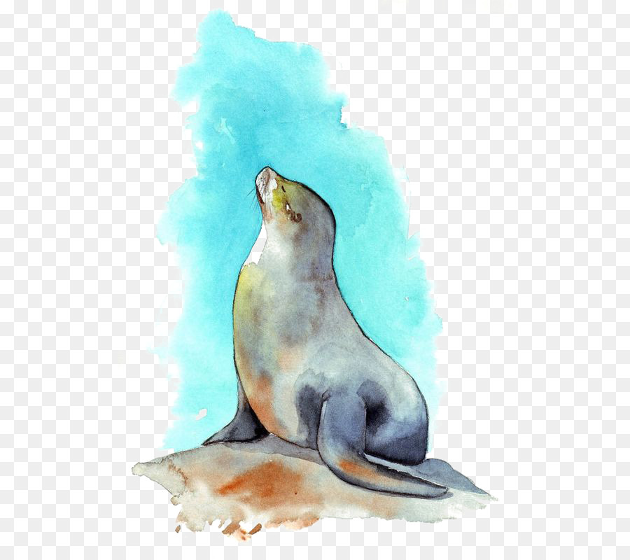 900x800 Sea Lion Watercolor Painting - Sea Lion Painting