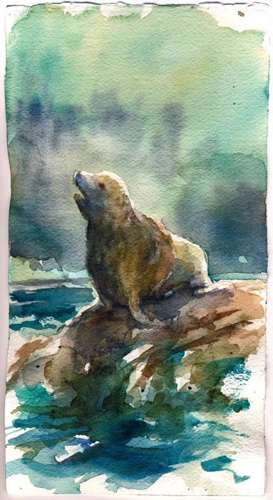 383x700 Sea Lions - Sea Lion Painting