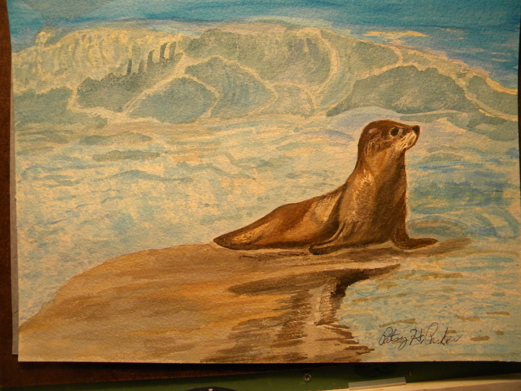 2048x1536 California Sea Lion Painting Patsy's Creative Corner - Sea Lion Painting