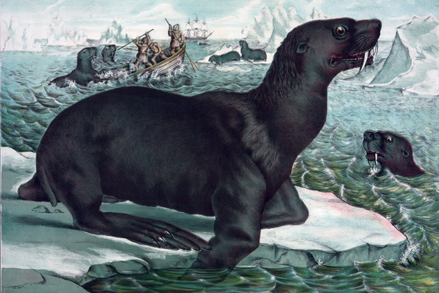 640x427 Vintage Posters Hand Drawing Prints On Canvas Scenery Painting - Sea Lion Painting