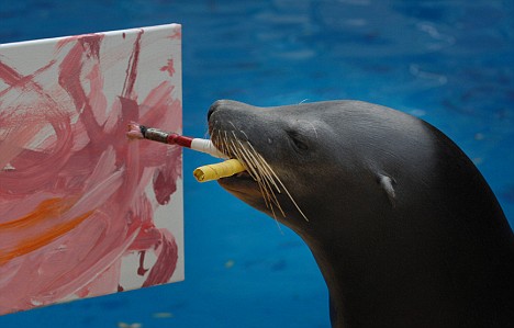 468x299 Painting By Flippers The Pair Of Sea Lions Who Have Taken To Art - Sea Lion Painting