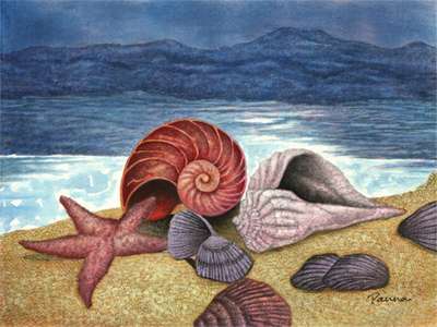 400x300 Sea Shell Paintings - Sea Shell Painting