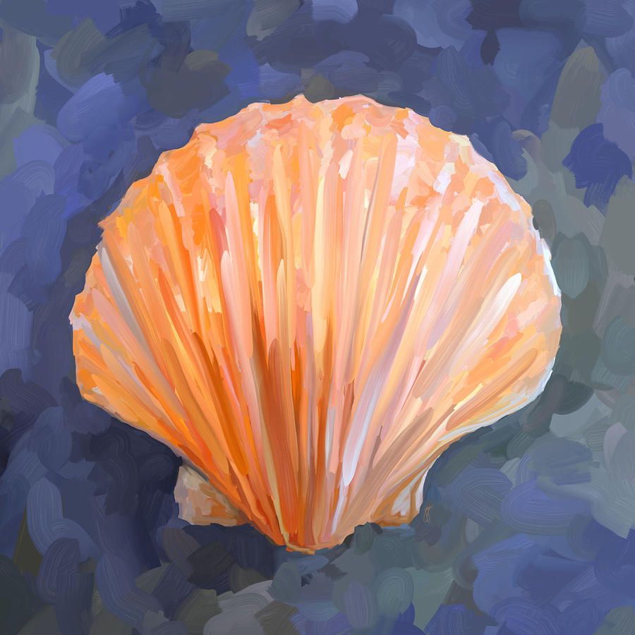 900x900 Paintings Of Seashells Seashell I Painting - Sea Shell Painting