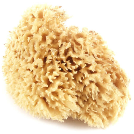 450x450 Hollywood Props Amp Sales Expendables Painting Equipment Sea - Sea Sponge Painting