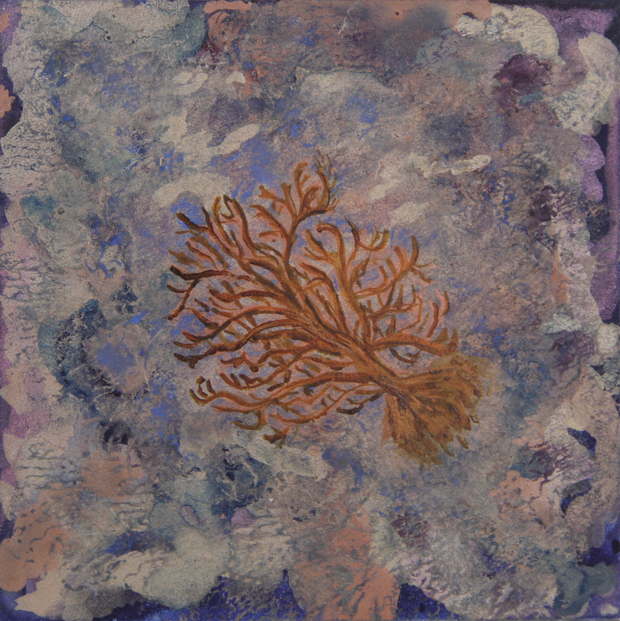 Sea Sponge Painting at Explore collection of Sea