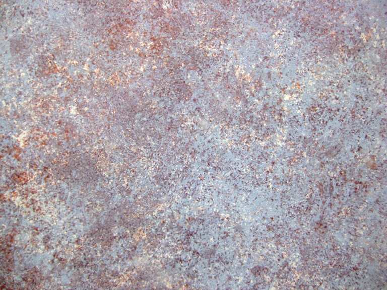 768x576 Array Of Color Inc Sponge Painting - Sea Sponge Painting