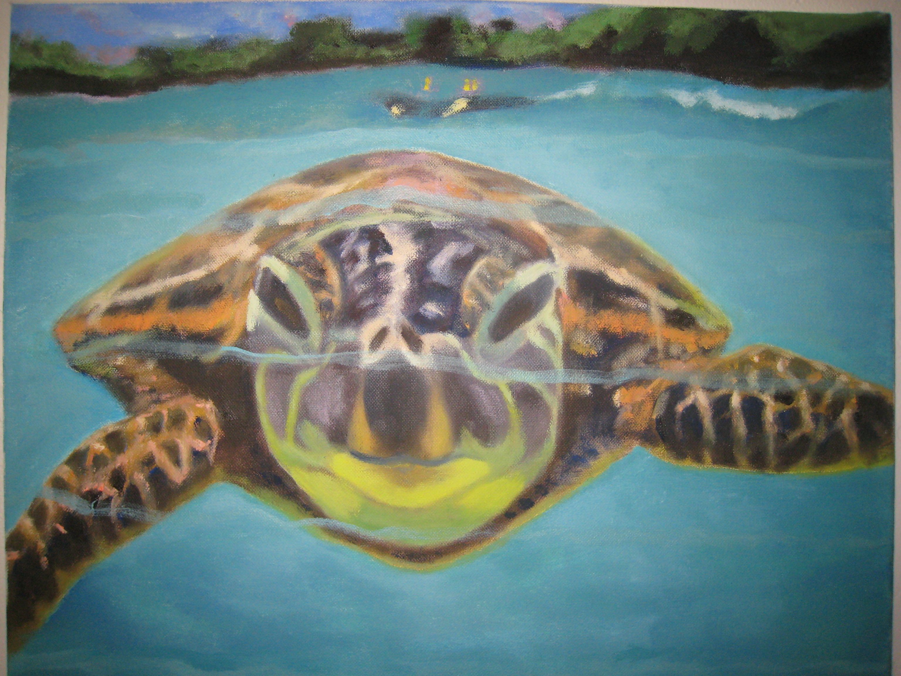 3072x2304 Oil Painting 16 X 20 My Turtle Art Turtle - Sea Turtle Oil Painting
