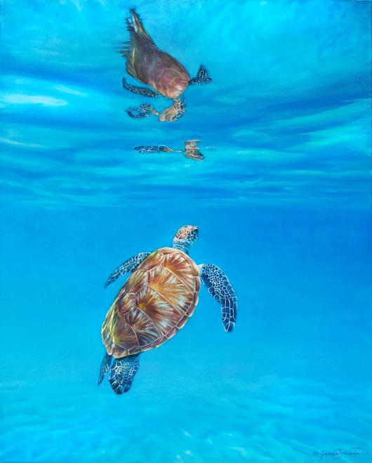 Sea Turtle Oil Painting At Paintingvalley.com 