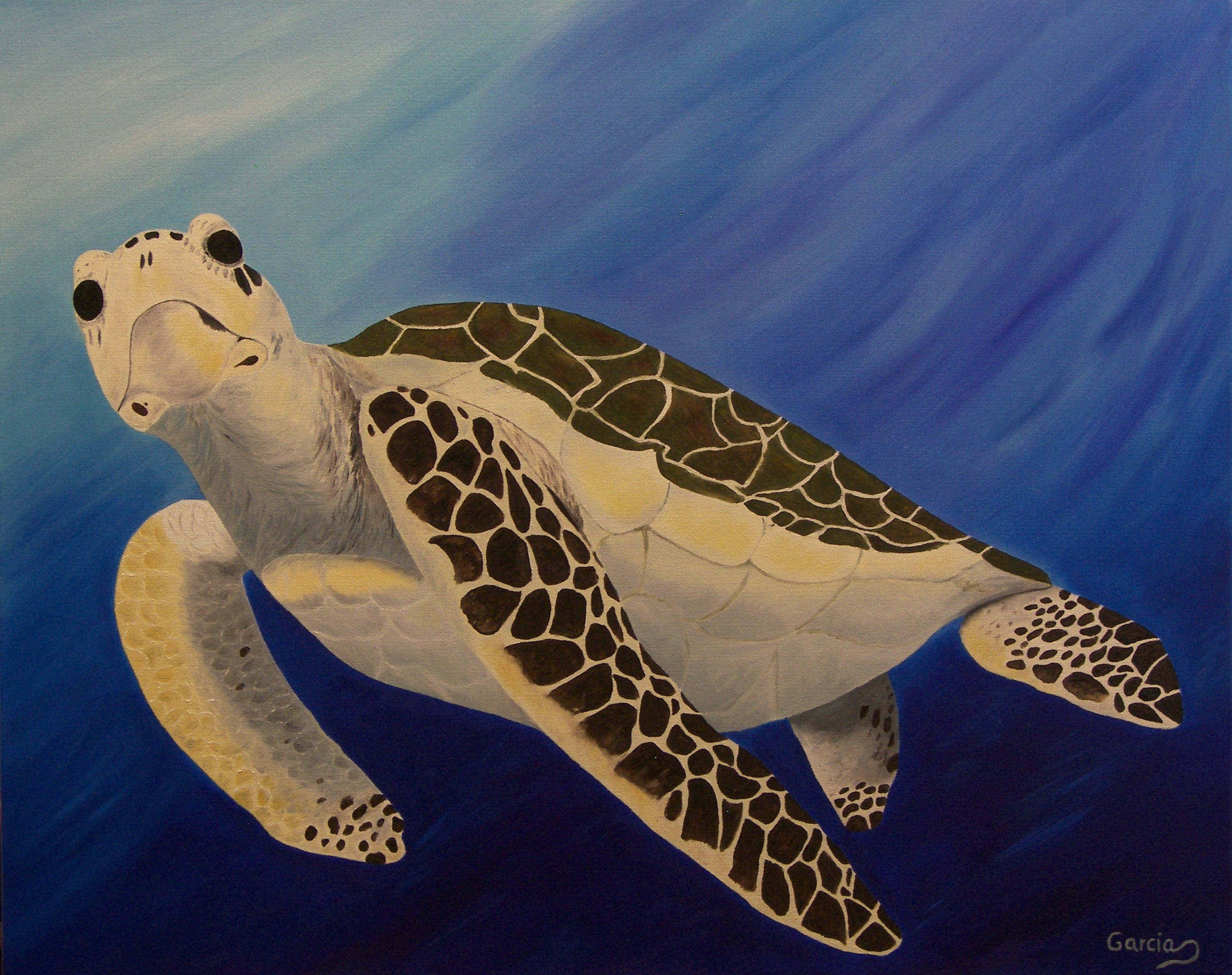 2546x2014 Turtle Oil Painting Sea Turtle Funny Look - Sea Turtle Oil Painting
