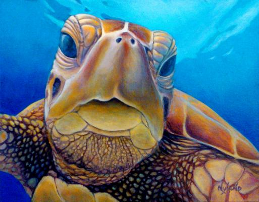 513x400 Welcome, Friend Green Sea Turtle Honu Reproduction Of Oil - Sea Turtle Oil Painting