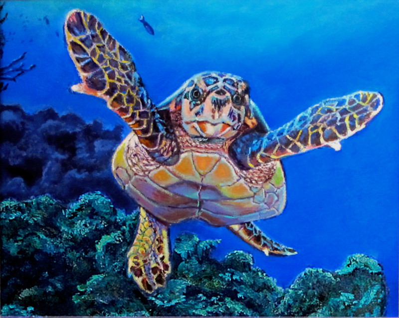 800x638 Artist Oil Painting Of Sea Turtle Marveling In Freedom Artist - Sea Turtle Oil Painting