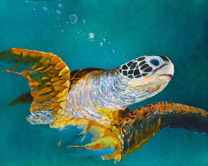 669x533 Bill Myrick Fine Art - Sea Turtle Oil Painting